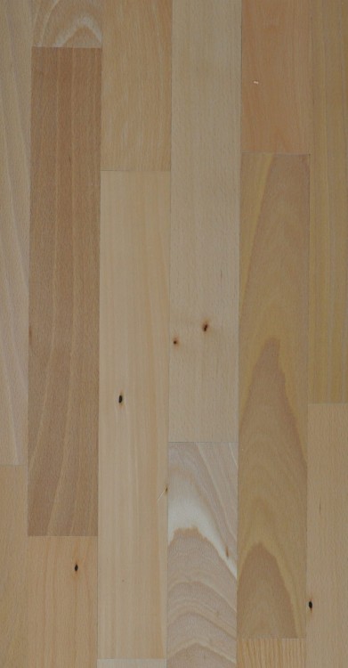 DSC_0596n.JPG